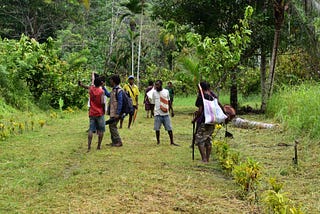 Will the Glasgow declaration on forests succeed where New York failed?