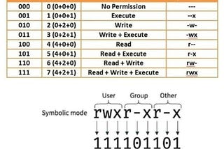 Linux File Permissions