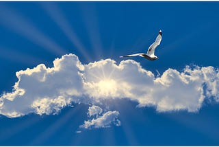 A gorgeous blue sky, white fluffy cloud with the sun shining through and a white seagull flying high.