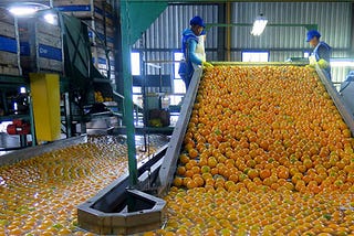 Limits to Growth in the Agro-processing Sector