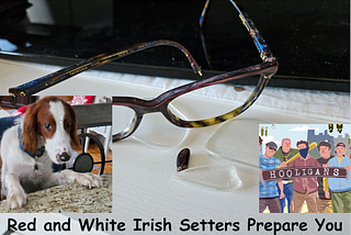 Picture: Chewed prescription glasses; Caption: Red and White Irish Setters Prepare You For, ummm,errr… Loveable Soccer Hooligans?