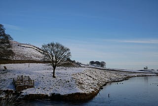 A Snowy Start to the Year