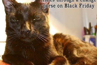 A black cat with a look of disdain on his face.