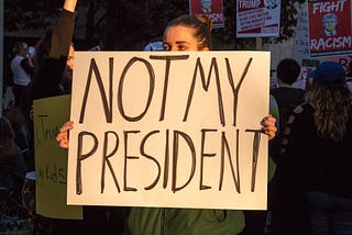 Not My President Day Protests