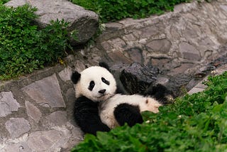Optimizing your Pandas, when you run out of scale