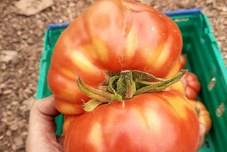 Calcium: the carrier of all minerals