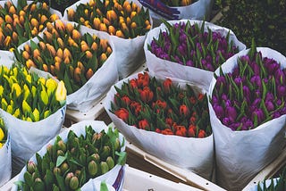 Books on Healing the Mother Wound on Mother’s Day