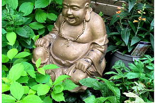 Growing Your Magical Money Tree(s)
