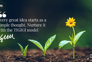 TIGIGI: A Framework for Turning a Thought into a Great Idea for Effective Leadership