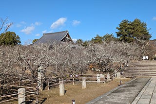京都仁和寺：宇多法皇的皇家寺院與政治鬥爭