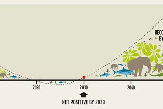 It’s time for companies to consider an ‘Internal Price on Nature’