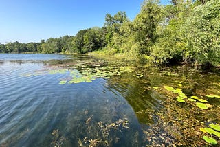 Delisting achieved, partners consider what’s next for Stillwater’s Lily Lake