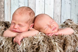 twin babies