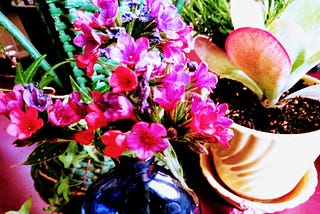 May Gifts and Soft Sweet Promises For You