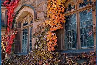 Ivy Windows, Princeton, New Jersey