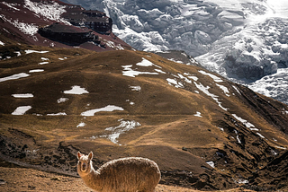 HOLDING CEREMONY IN CLOUD PEAKS OFTHE ANDES