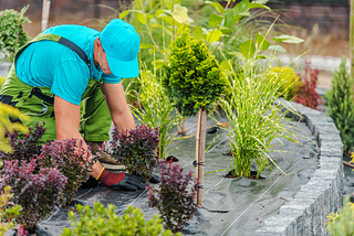 Key Benefits of Hiring a Landscaping Contractor