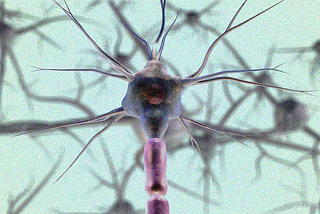 The Miraculous Origin of Brain Intelligence in Land Animals (Like Us)