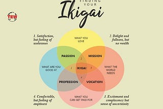 How I found my Ikigai?