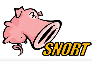 Decoding the Intricacies of Snort: A Comprehensive Overview