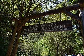 Muir Woods