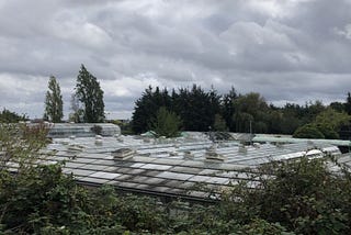 View over roofs of glasshouses at Wolves Lane, London