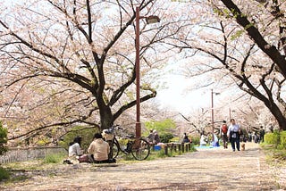 花見はなみ