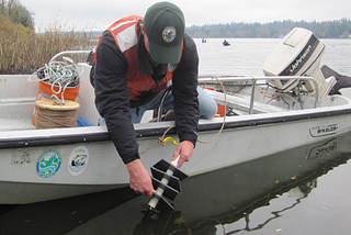 Invasive freshwater mussel monitoring ramping up in Washington waters