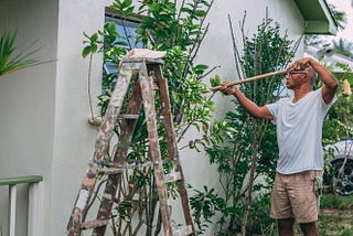 Tips To Stay Safe During Garden DIY