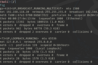 Stateful Connection With Spoofed Source IP — NetImpostor