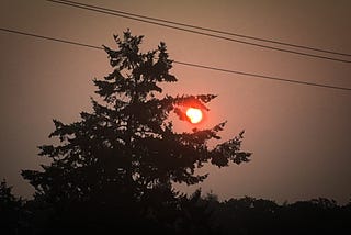 a dark sky with a red sun showing behind a tree