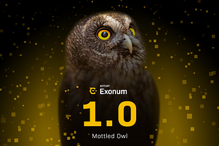 Introducing Exonum 1.0.0 (Release Candidate)