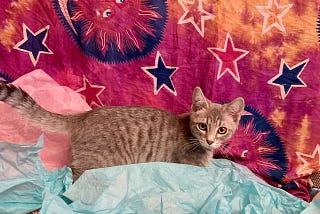 Pixie