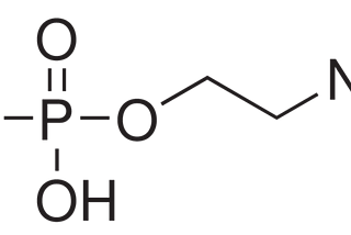 A Fosfoetanolamina e por que você precisa entender a ciência