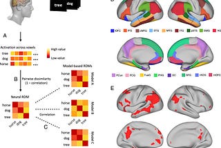 Your First Date should Be an MRI Test