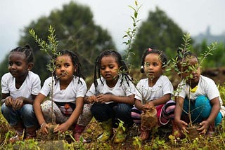 Pourquoi Panopli rejoint 1% For The Planet ?
