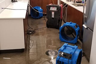 Transformative Care from Naperville Water Damage Authority