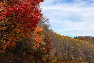 Red car speeding away on Blue Ridge Parkway