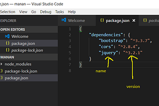 Why do we need package.json file?