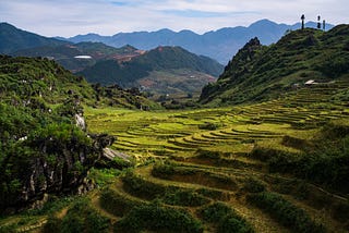 Decorative photograph of terraced cliff