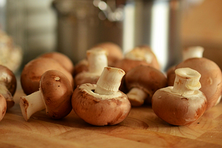 From Garden to Table: How to Grow Gourmet Mushrooms at Home with Ease