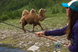 You Cannot Fish from a Camel’s Back in Idaho