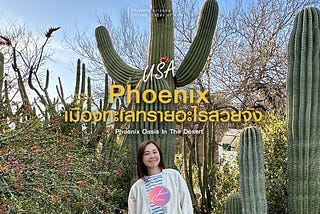 Phoenix เมืองทะเลทรายอะไรสวยจัง