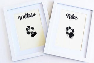 HOW TO DIY PAW PRINT ART