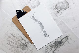 A clipboard resting on top of several anatomical drawings. On the clipboard is a highly detailed drawing of the spine.