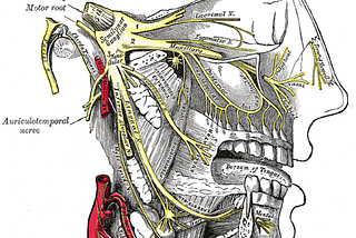 Living with Pain: My Third Cluster Headache Season