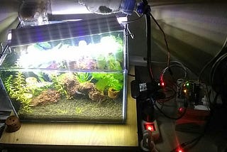 Simple Aquarium Feeder