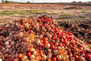 Food Wastage!