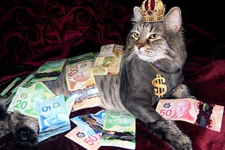 Rich cat