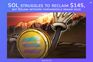 SOL struggles to reclaim $145, but Solana network fundamentals remain solid